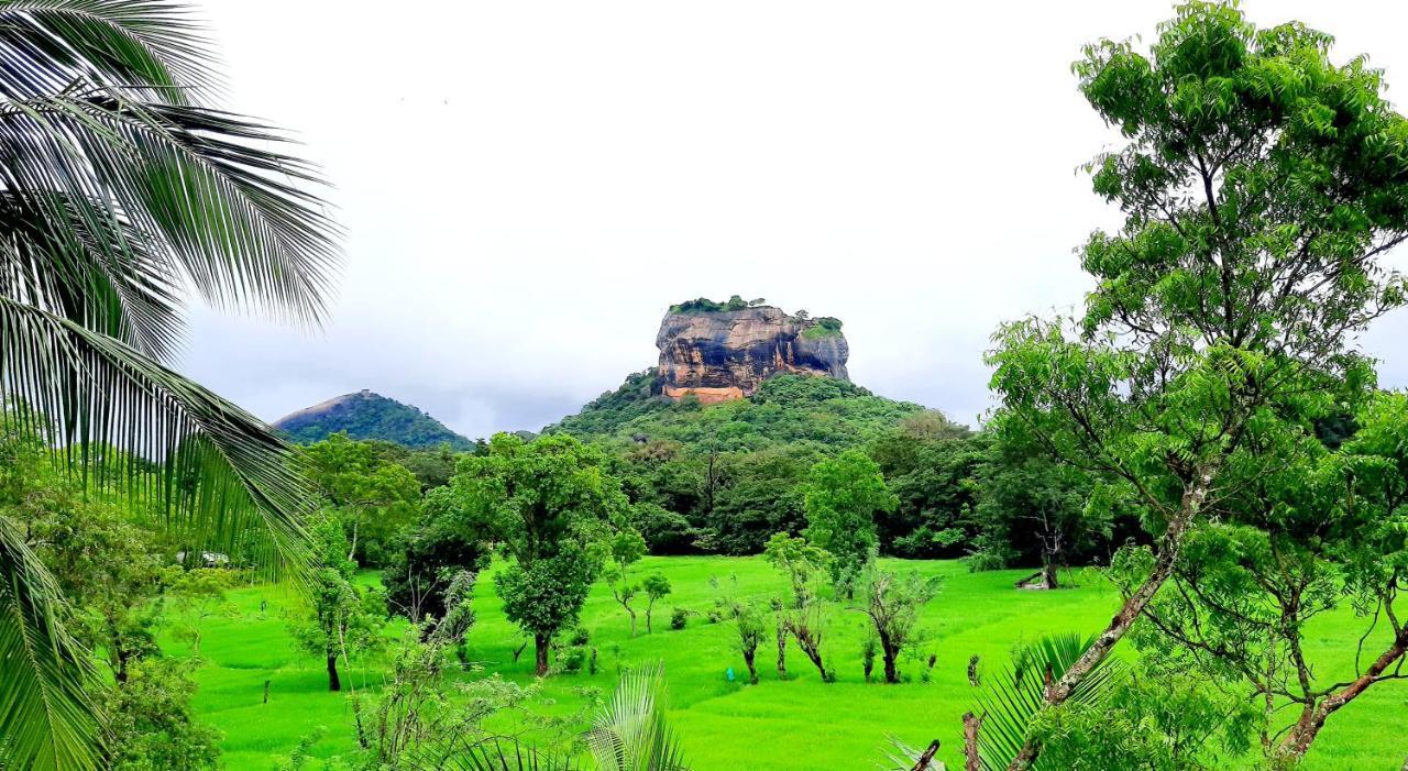 Lakmini Lodge Sigiriya Exterior photo